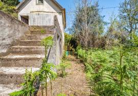Land with 48.755m2 + Old house + Ruin in Achada do Barro