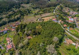Land with 48.755m2 + Old house + Ruin in Achada do Barro