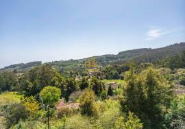 Land with 48.755m2 + Old house + Ruin in Achada do Barro