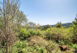 Land with 48.755m2 + Old house + Ruin in Achada do Barro