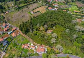 Land with 48.755m2 + Old house + Ruin in Achada do Barro