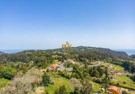 Land with 48.755m2 + Old house + Ruin in Achada do Barro