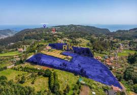 Land with 48.755m2 + Old house + Ruin in Achada do Barro
