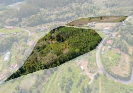 Land with 48.755m2 + Old house + Ruin in Achada do Barro