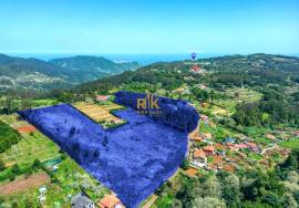 Land with 48.755m2 + Old house + Ruin in Achada do Barro