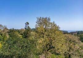 Land with 48.755m2 + Old house + Ruin in Achada do Barro