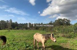 Land Ovar