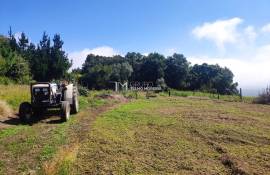 Land Sever do Vouga