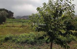 Land Sever do Vouga