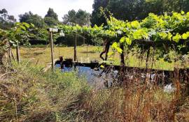 Land Sever do Vouga
