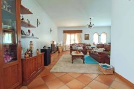 Detached 4 bedroom villa in Avanca