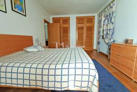Detached 4 bedroom villa in Avanca