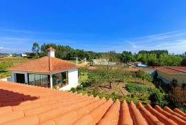 Detached 4 bedroom villa in Avanca