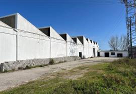 Warehouse Ovar cortegaça