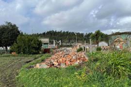 House in Ruin - Loureiro