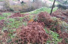 2 Villas to recover in Roriz with 1460m2
