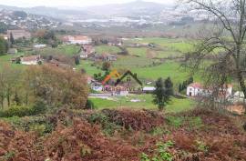 2 Villas to recover in Roriz with 1460m2