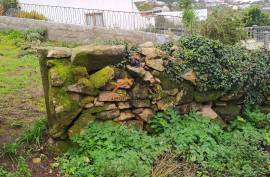 2 Villas to recover in Roriz with 1460m2