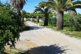 A fantastic opportunity to invest in a well-located property with an amazing well-thought out project in Moncarapacho A fantastic opportunity to invest in a well-located property with an amazing well-thought out project in Moncarapacho