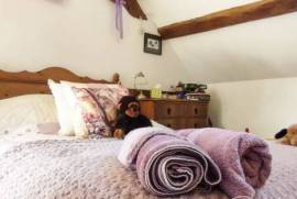 Detached Country House with Outbuildings and Land