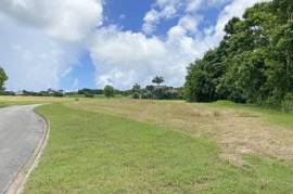 Apes Hill Polo Estate - Lot 4