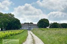 Former Wine Chateau and its Vineyards - Sainte Foy La Grande