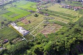 Invest in Paradise: Prime Freehold Land just minutes from Tegenungan Waterfall in Bali’s Gianyar – Kemenuh