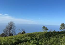 Land with 1206 square meters located in Fajã da Ovelha - Calheta - Madeira Island, for Sale