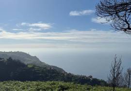 Land with 1206 square meters located in Fajã da Ovelha - Calheta - Madeira Island, for Sale
