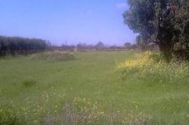 Land For Sale In Ypsonas Limassol Cyprus