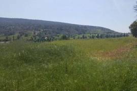 Land For Sale In Monagroulli Limassol Cyprus