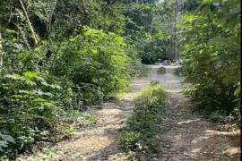 Land-Plot for sale in Tulum Mexico