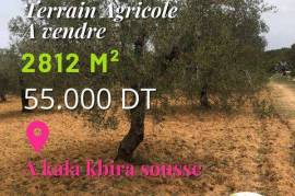 Land-Plot for sale in Kalaa-Kebira Tunisia