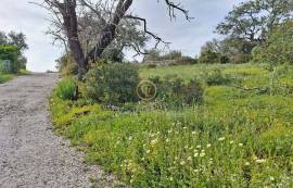 Rustic land of 2000m2 with views of the sea and countryside, located in Aroal, Boliqueime
