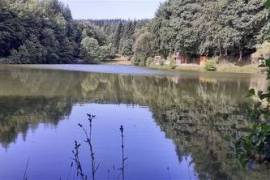 Carp fishing Lakes with 2 houses, 3 Chalets and over 5 hectares of land 1.75 hectares of which has planning consent