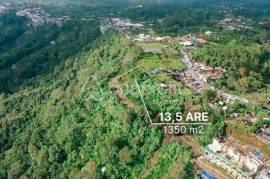 Unlock Kintamani’s Potential: Premier Land 13,5 Are for Visionary Commercial Development
