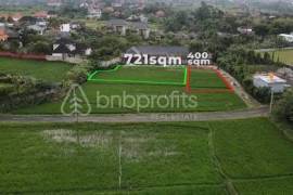 Land in Babakan with Permanent Rice Field Views, A Prime Investment Jewel