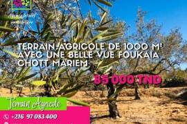Land-Plot for sale in Akouda Tunisia