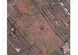 21 hectare farm 3.5 km from Praia da Luz and Burgau, with hotel/resort project