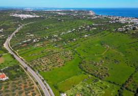 21 hectare farm 3.5 km from Praia da Luz and Burgau, with hotel/resort project