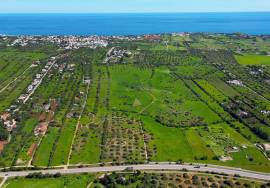 21 hectare farm 3.5 km from Praia da Luz and Burgau, with hotel/resort project