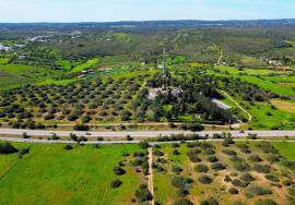21 hectare farm 3.5 km from Praia da Luz and Burgau, with hotel/resort project