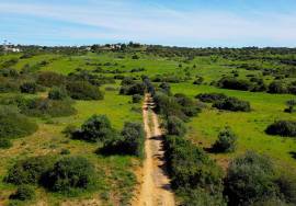 21 hectare farm 3.5 km from Praia da Luz and Burgau, with hotel/resort project