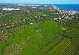 21 hectare farm 3.5 km from Praia da Luz and Burgau, with hotel/resort project