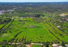 21 hectare farm 3.5 km from Praia da Luz and Burgau, with hotel/resort project