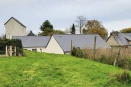 Huge Habitable Property with Lots of Potential