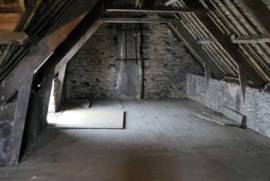 Huge Habitable Property with Lots of Potential