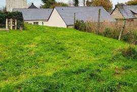 Huge Habitable Property with Lots of Potential