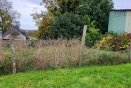 Huge Habitable Property with Lots of Potential