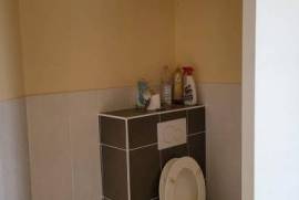 Huge Habitable Property with Lots of Potential